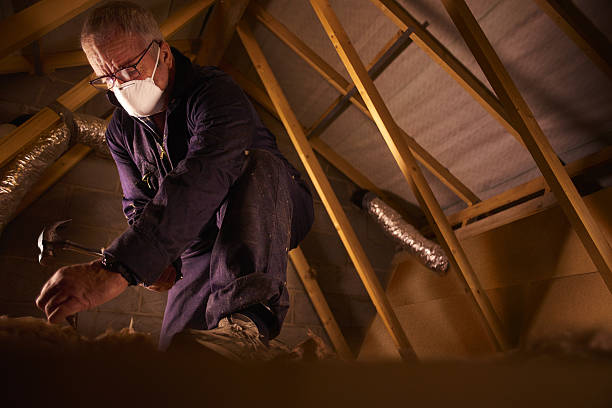 Best Residential Insulation in Rittman, OH